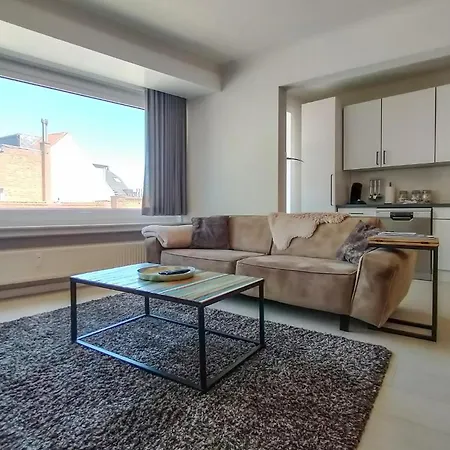 Pet Friendly In With Wifi Apartament *