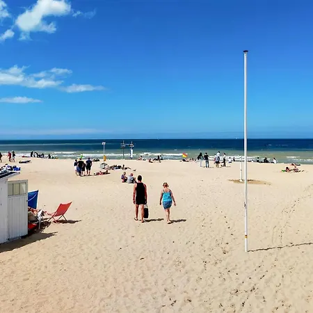 公寓 Pet Friendly In With Wifi