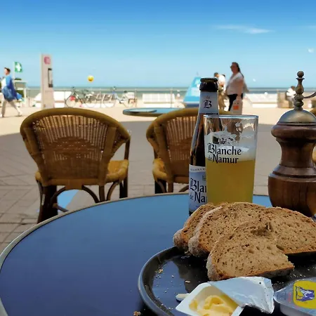 Lejlighed Pet Friendly In With Wifi Oostende