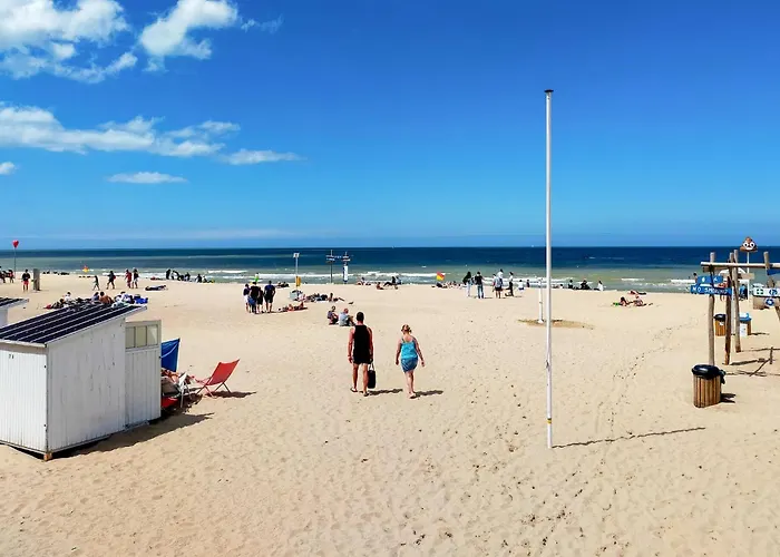 Apartamento Pet Friendly In With Wifi