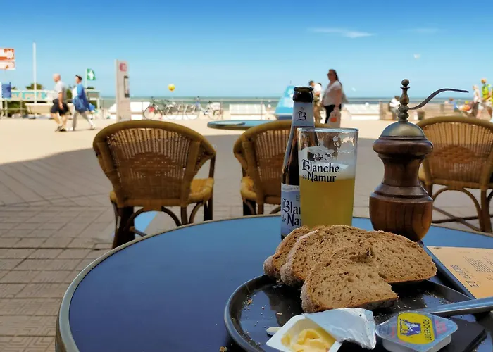 Apartamento Pet Friendly In With Wifi Ostende